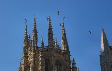Spagna - Burgos Spagna - Burgos